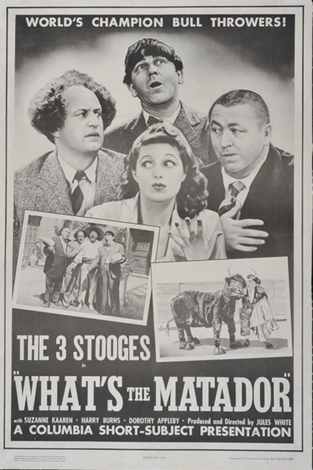 Movie Poster