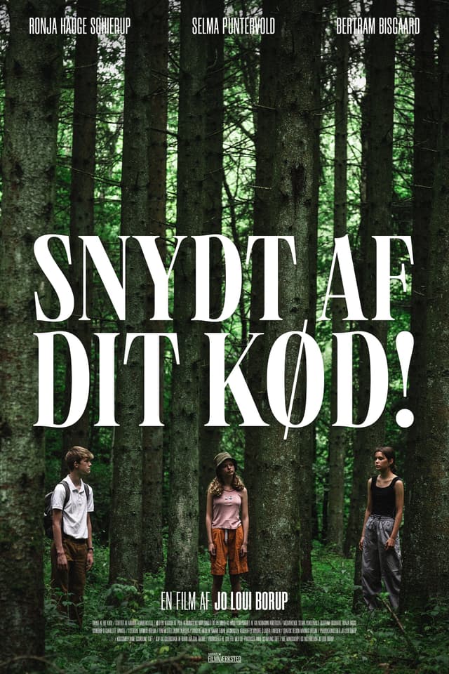 Movie Poster
