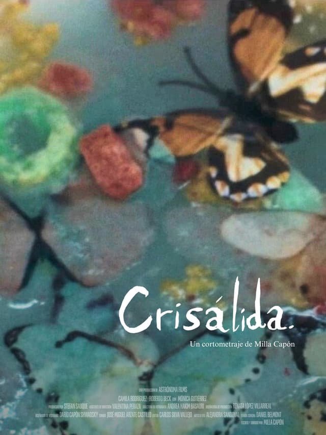 Movie Poster