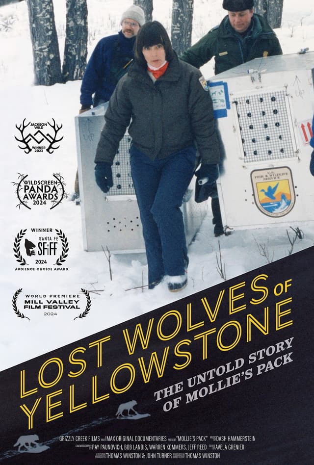 Movie Poster