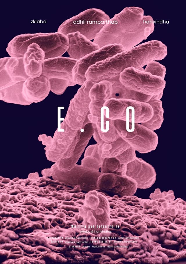 Movie Poster
