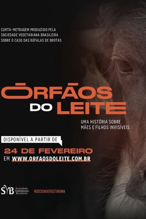 Órfãos do Leite: Uma história sobre mães e filhos invisíveis