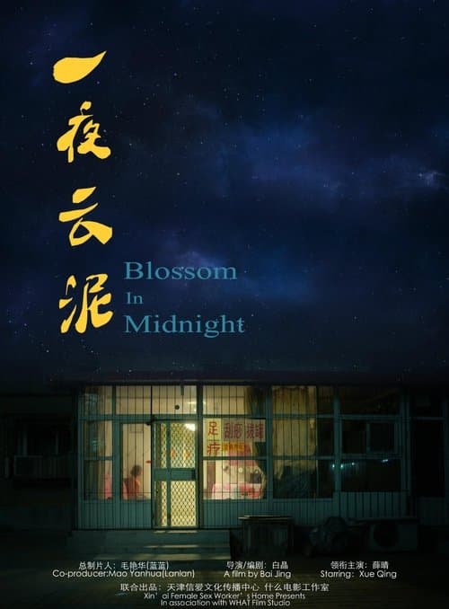 Blossom in Midnight