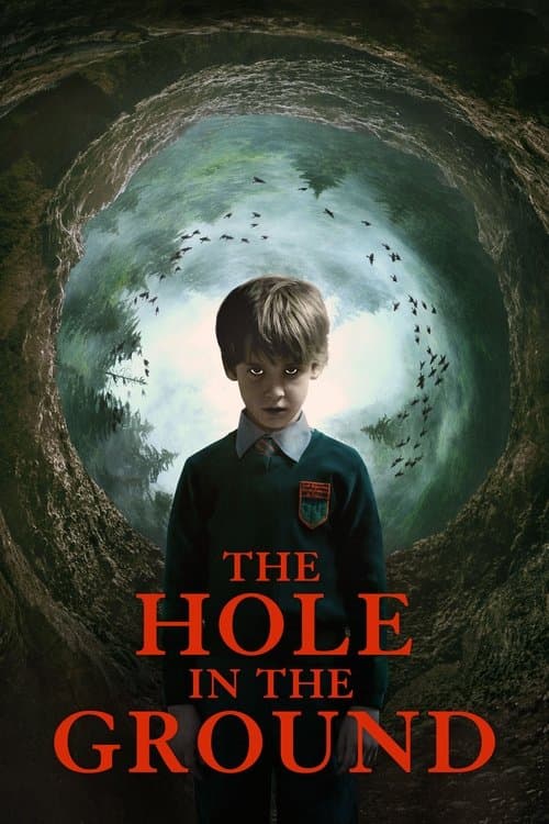 The Hole in the Ground