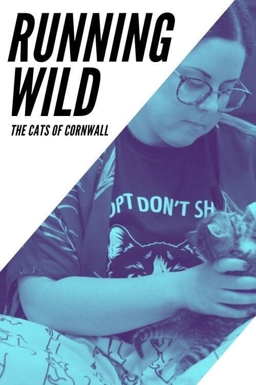 Running Wild: The Cats of Cornwall