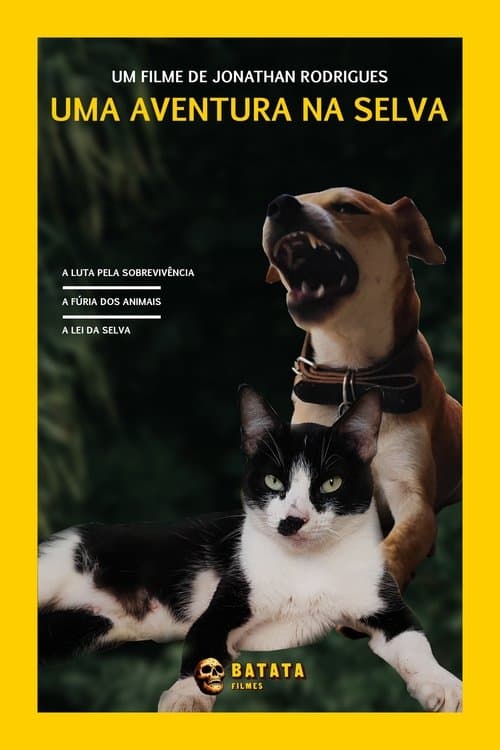 The Jungle Adventure