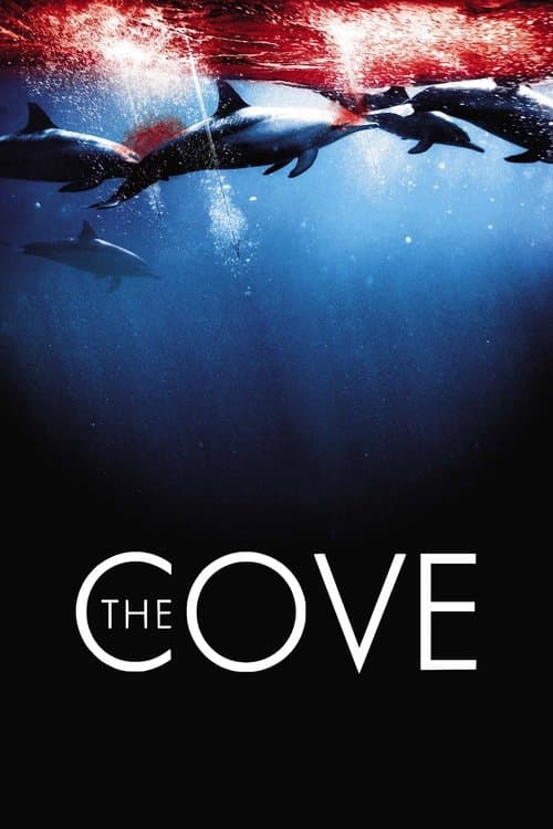 The Cove