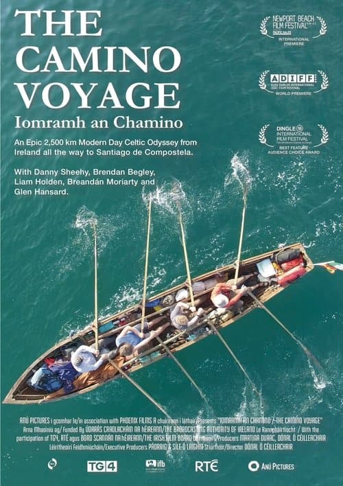 The Camino Voyage