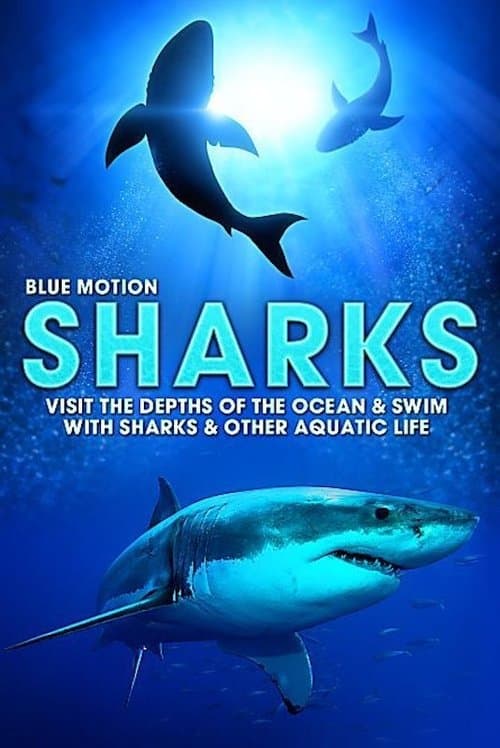 Blue Motion - Rulers of the oceans