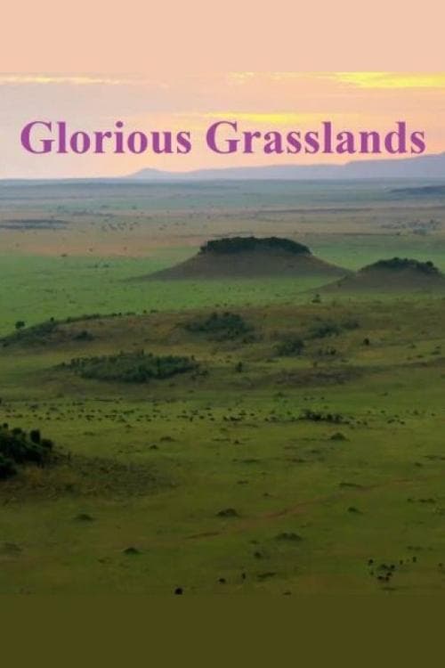 Glorious Grasslands