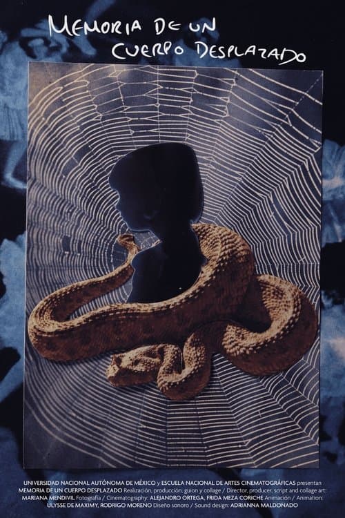 Memory of a Displaced Body